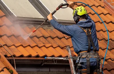 Démoussage et hydrofuge de toiture à Charavines
